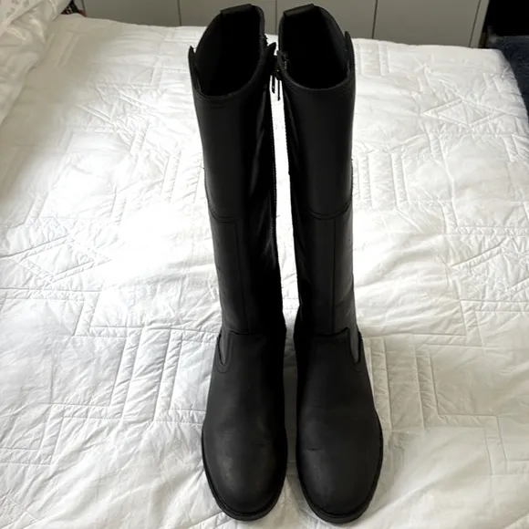 ARIAT SUTTON 11 H20