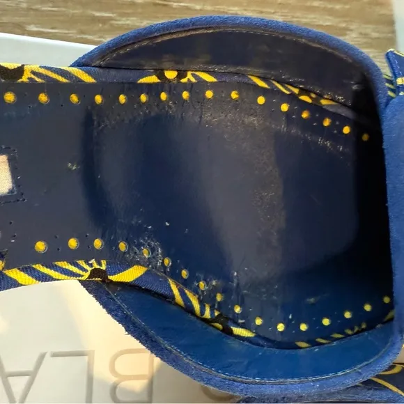 Manolo Blahnik • Blue and Yellow Mayslibi 50mm Slingback Heels • 41.5