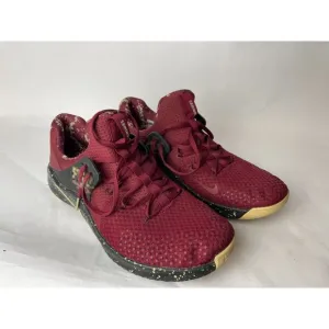 Men's Nike Garnet/Black Florida State Seminoles Free TR V8 Shoes, 12US