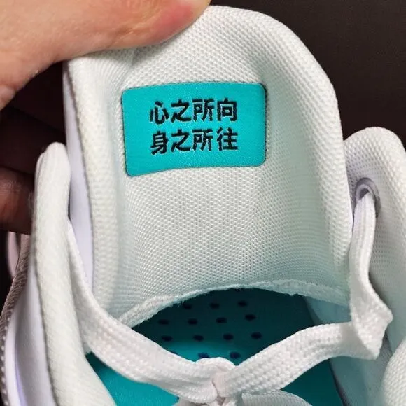 Nike Air Jordan XXXVI 36 Low PF Guo Ailun Women's 10 Silver Jade DM9032-130 Shoe