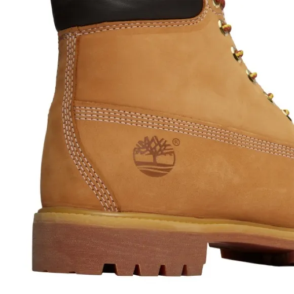Timberland 6&quot; Premium Waterproof Boots In Wheat