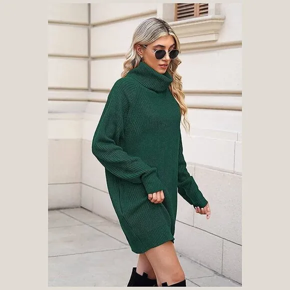 Women's Loose Turtleneck Oversize Long Pullover Sweater Dress Dark Green