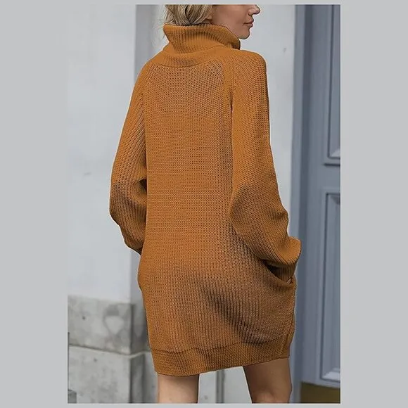 Women's Loose Turtleneck Oversize Long Pullover Sweater Dress Y - Ginger